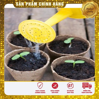 Bộ gói hạt giống Hướng dương