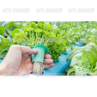 Dung dịch thủy canh (100ml)- lavamix