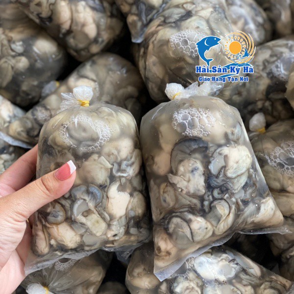 Giá Sỉ - Ruột Hàu Sữa Giá Sỉ Rẻ Nhất