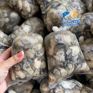 Giá Sỉ - Ruột Hàu Sữa Giá Sỉ Rẻ Nhất