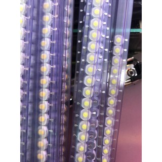 [VM] - Nhân led 3w