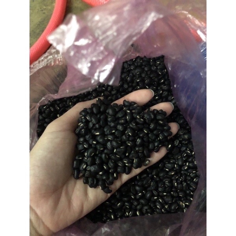 Đỗ đen hàng ngon, khô, đều hạt chọn lọc - đóng gói 1kg