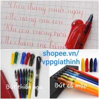 Bút Thiên Nga, Cá Mập (ngòi kim tinh mài)