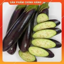 HẠT GIỐNG CÀ DÁI DÊ CAO SẢN