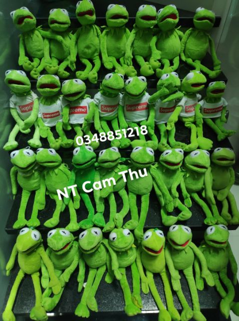 Gấu bông ếch Kermit meme màu xanh