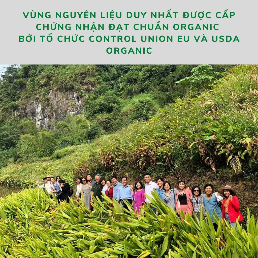 Organic, Tinh Bột Nghệ Organic Cao Cấp 220g, Tinh Bột Nghệ Đắp Mặt, Tinh Bột Nghệ Nguyên Chất, Tinh Nghệ Bắc Kạn.