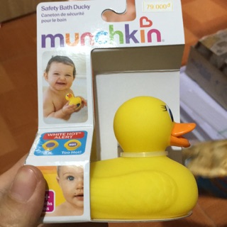 Vịt vàng báo nóng