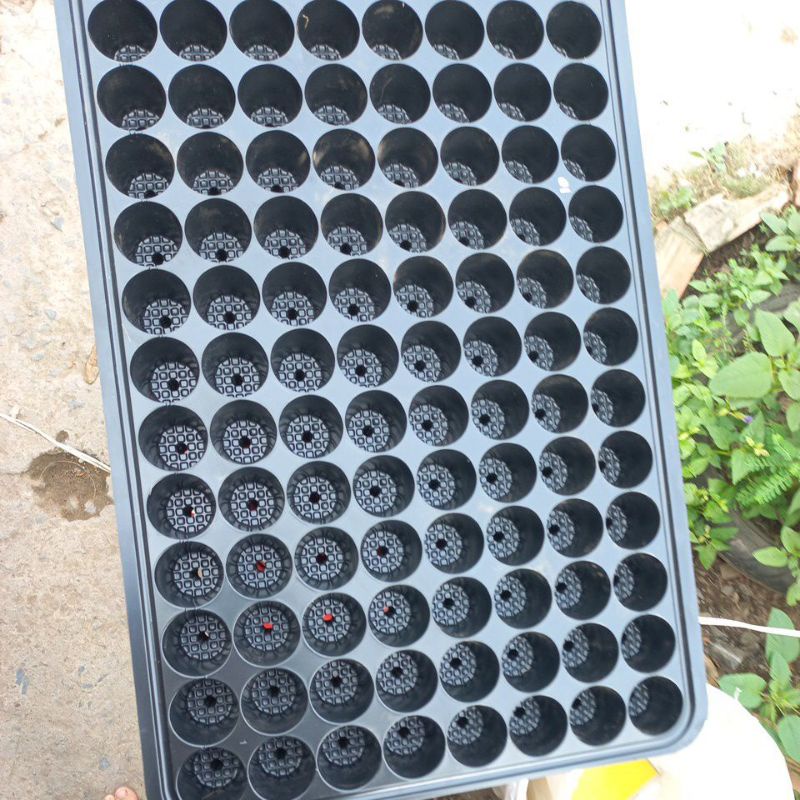 Vĩ Ươm Cây 104 Lỗ