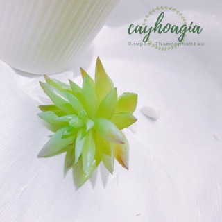 Cây giả - Sen Đá Giả Ms52