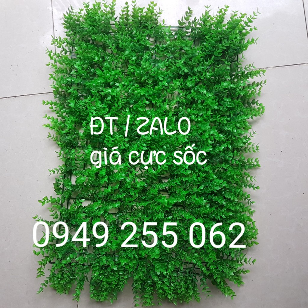 Cỏ Tai Chuột  - Cỏ Treo Tường Nhựa PVC