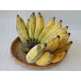 Chuối Sứ Chín