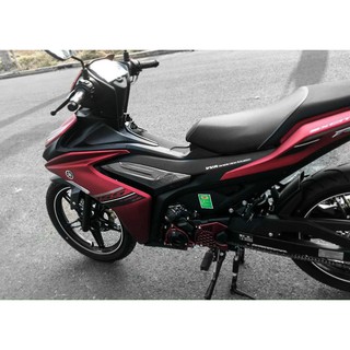 Cặp ốp sườn trước carbon ex155 vva