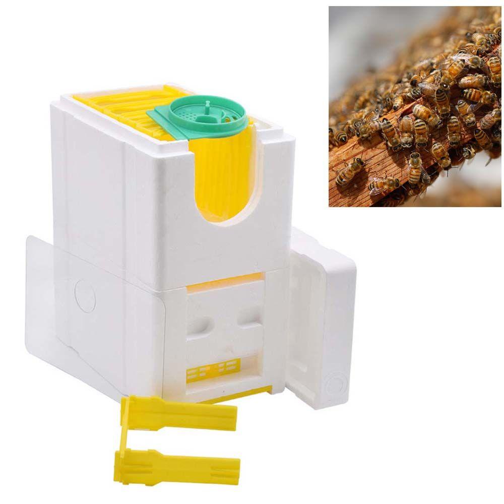 Hộp Nuôi Ong Chúa Bằng Xốp Chuyên Dụng