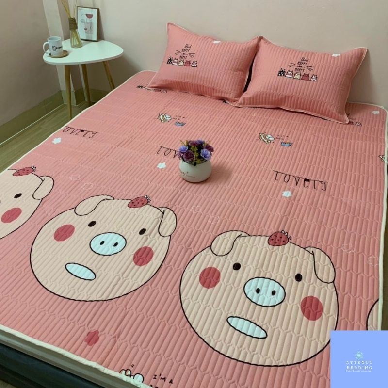 Chiếu Đũi điều hòa ❄️FreeShip❄️ Chiếu Cotton Đũi Nhật mát mẻ có đủ màu sắc size rộng(1m2;1m6;1m8;2m2) dài 2m