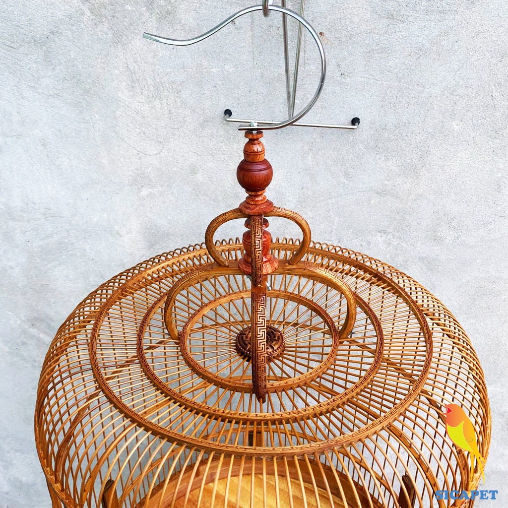 Lồng chim chòe than, chim chòe lửa, chim chích chòe, chim chào mào, Lồng nuôi chim chòe than, chim chòe lửa SICAPET