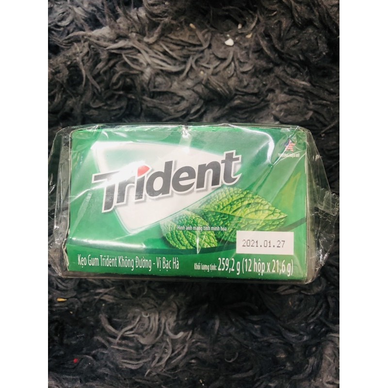 Lốc 12 vĩ kẹo gum Mỹ Trident Bạc Hà (1/2022)