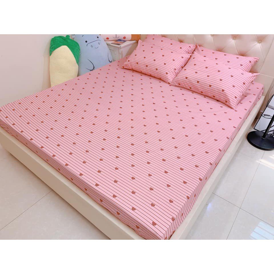 [Free ship]Ga Trải Giường 2mx2m2 được chọn mẫu,totobedG5