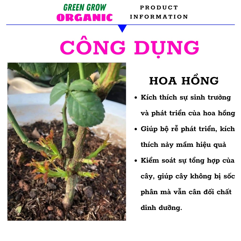 Dịch chuối trứng ủ HUMIC lên men Green Grow Organic phân bón hữu cơ kích rễ kích hoa cho hoa hồng và phong lan MS116