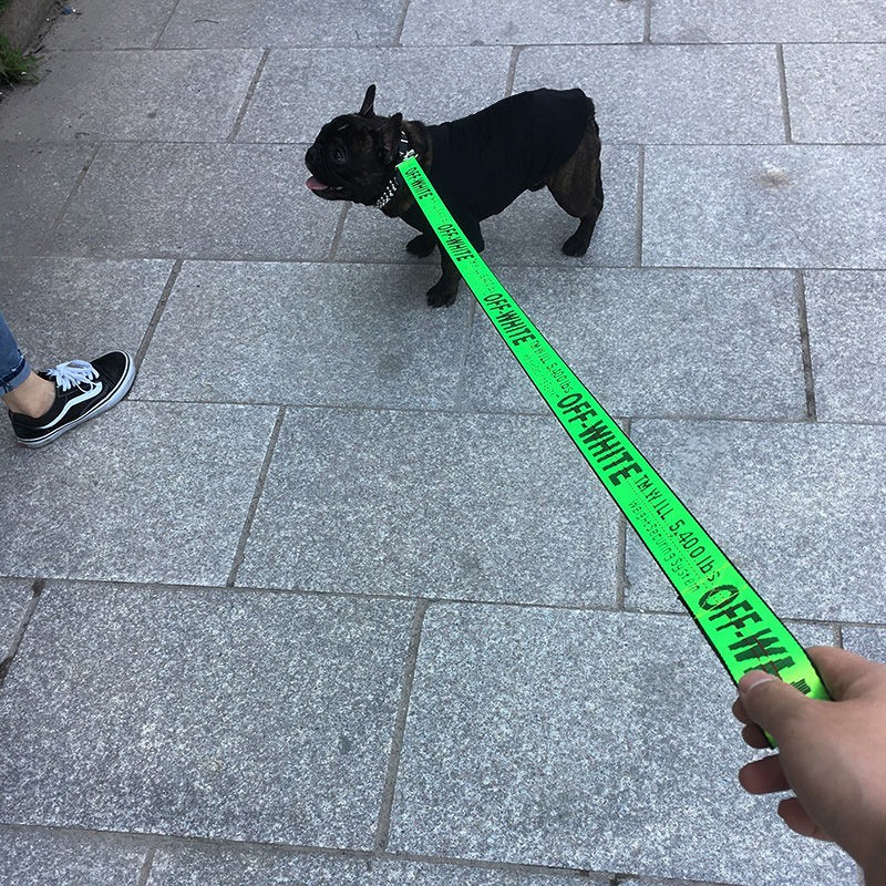 Thương hiệu thời trang cho thú cưng Dây buộc TẮT TRẮNG chó Cắn xích Golden Retriever Bully Dog Leash Đồ dùng