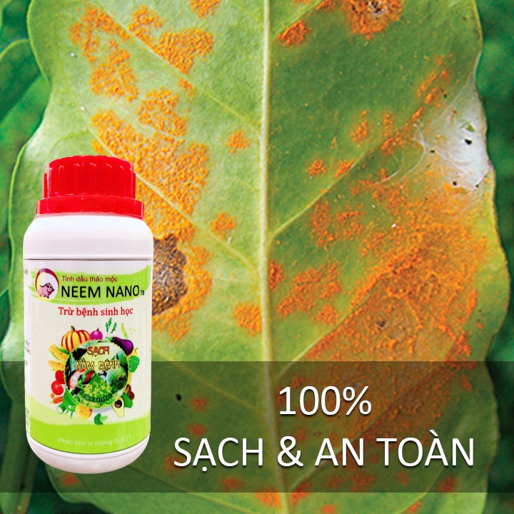 Trừ Nấm Bệnh Sinh Học cho Rau sạch, hoa, cây cảnh bị đốm đen, thối nhũn, sương mai, thán thư - 100% Sản phẩm sạch