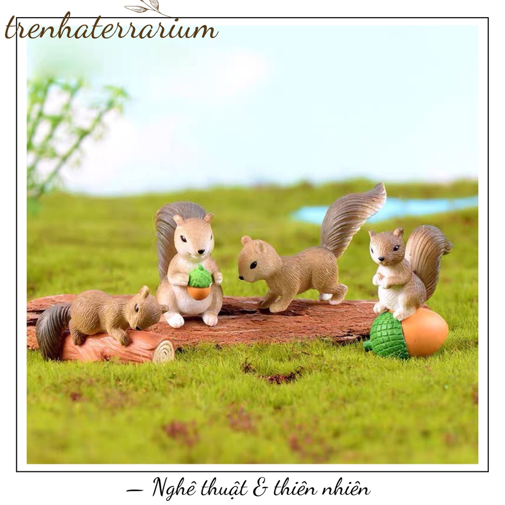 Tiểu cảnh sóc tinh nghịch terrarium cực cute trang trí sen đá