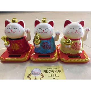 Combo mèo phước lộc thọ
