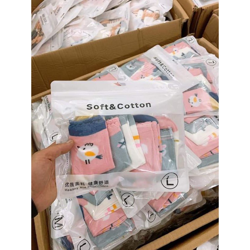 SET 5 ĐÔI TẤT XUẤT HÀN SIÊU ĐẸP