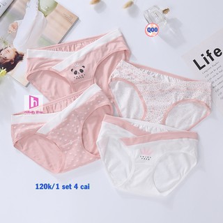 Combo 4 Quần Lót Bầu Cotton cao cấp