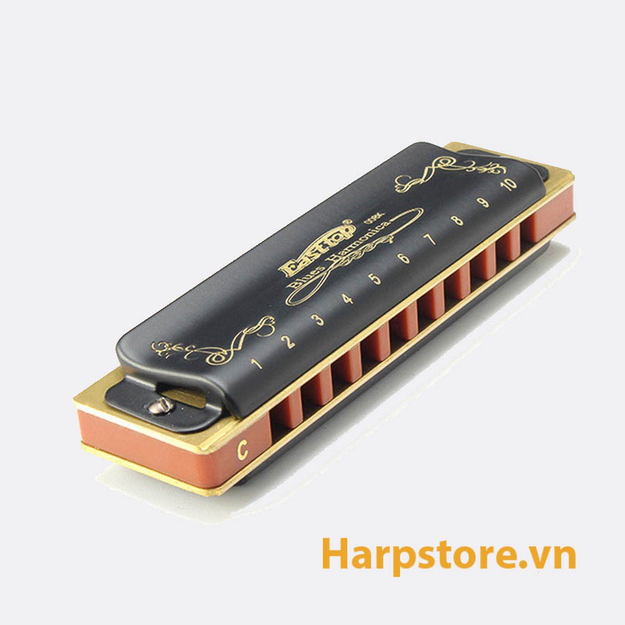 Kèn Harmonica diatonic Easttop T008K - Key C A G