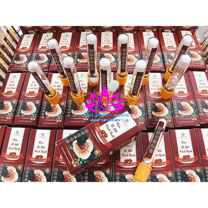 VIÊN XỖ MỠ VÀNH RUỘT  NẤM LINH CHI ĐỎ CHÍNH HÃNG HỘP 10V