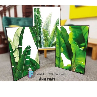 (Có ẢNH THẬT) Tranh Treo Tường canvas, Tranh treo phòng khách,phòng ngủ, cầu thang đẹp⚡FREE SHIP⚡ Mẫu lá cây, tone xanh