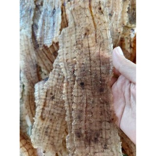 Khô tôm tích (bề bề) ép