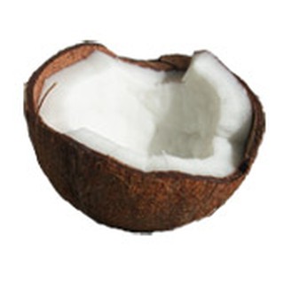 Dầu dừa AROMA ZONE Pháp