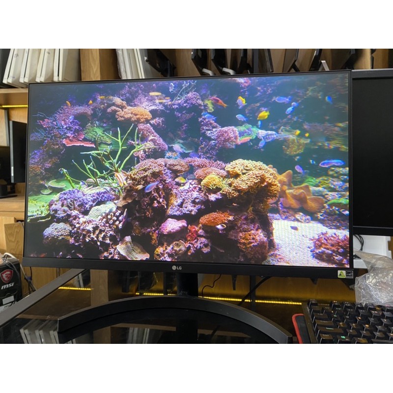 MÀN HÌNH 27 INCH LG27MK600 75HZ PHUN BOX