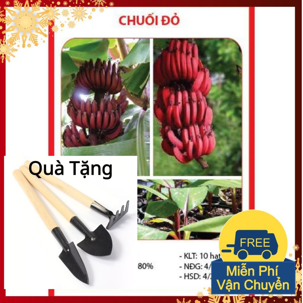 Hạt Giống Chuối Đỏ - 10 Hạt Tặng Bộ Dụng Cụ Mini Trồng Cây Tặng Bộ Dụng Cụ Mini Trồng Cây
