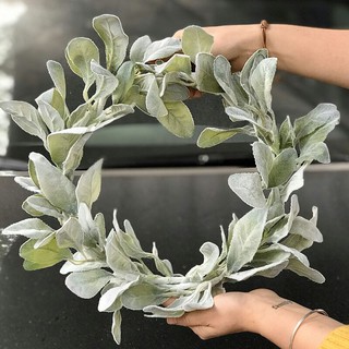 Vòng Nguyệt quế lá bạc