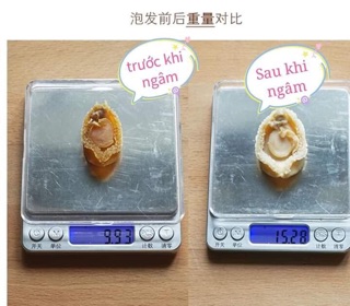 Bào Ngư khô (Size mini/Size trung)