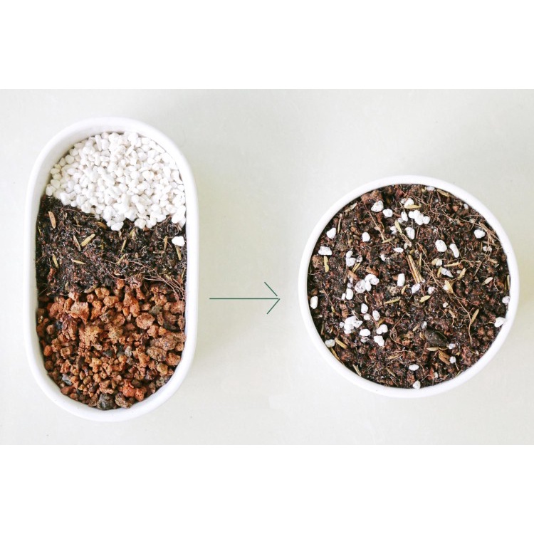 Đá Perlite trồng sen đá, hoa lan, ươm cây- đá nhẹ tơi xốp