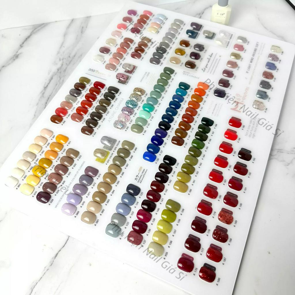 Set sơn 200 màu đủ màu gel thạch nhũ tone Hàn Quốc tặng kèm 2 bảng màu to kèm khung gỗ trưng bày