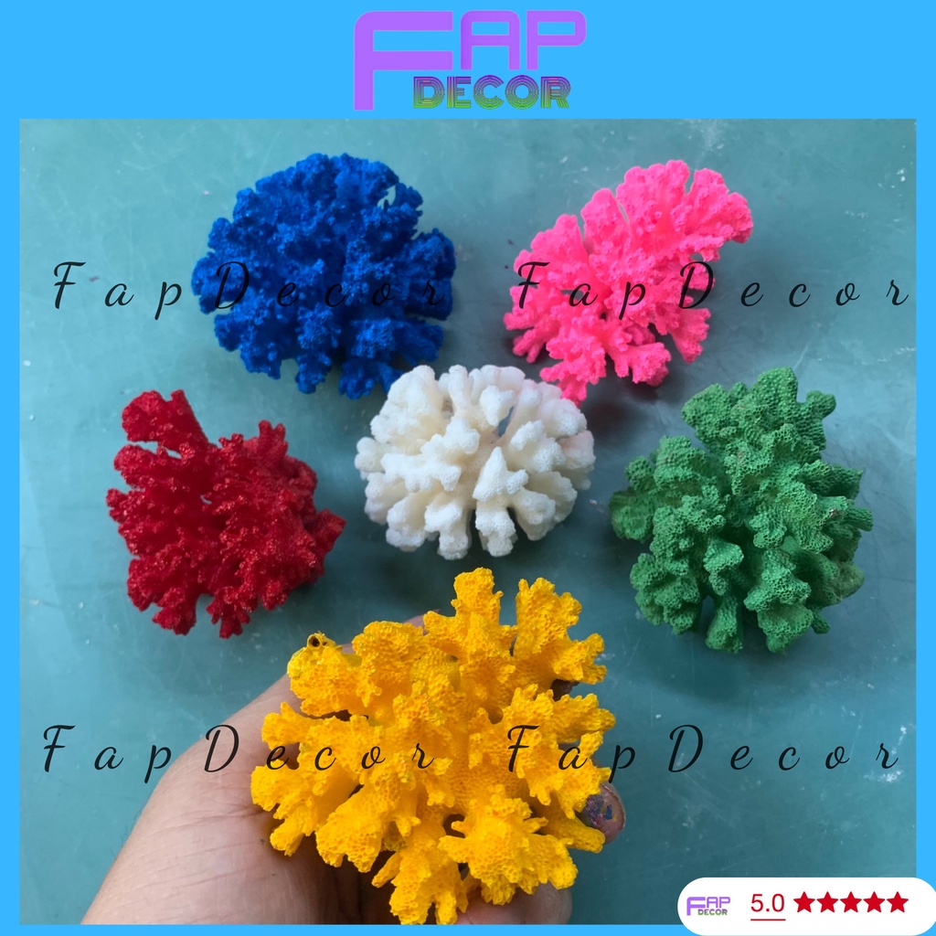 SAN HÔ BÔNG RẠN BIỂN PHONG THỦY MINI PHỐI MÀU SIÊU ĐẸP TRANG TRÍ THỦY SINH BỂ CÁ DECOR BÀN LÀM VIỆC - FAPDECOR