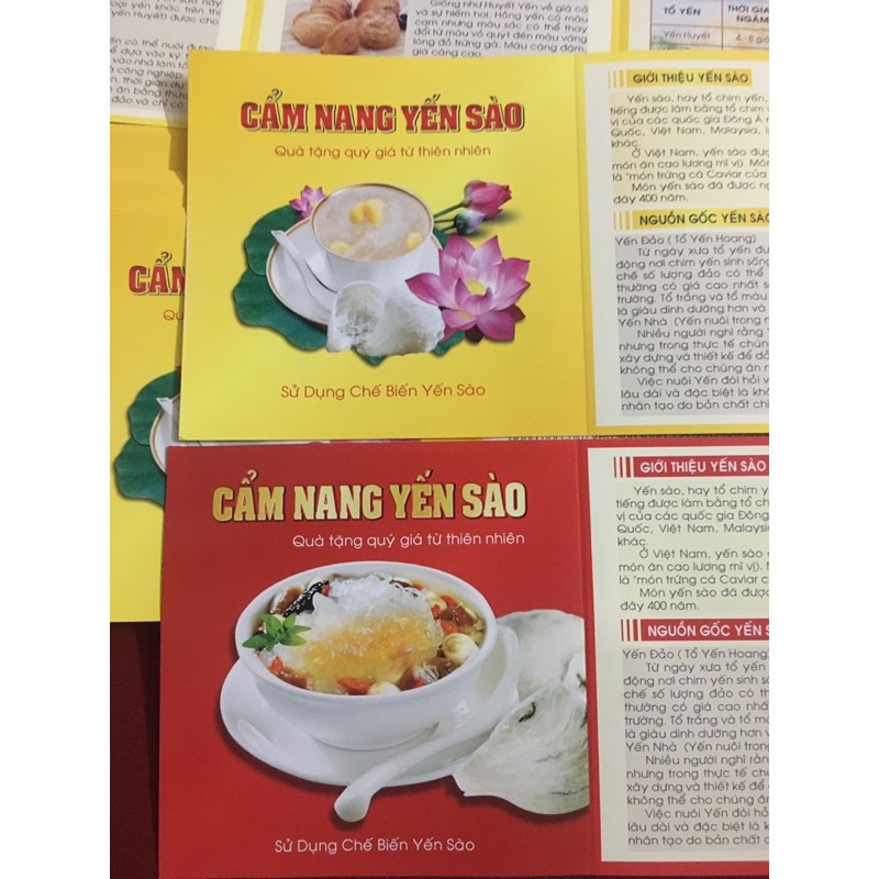 [Mã SRJULY1215 giảm 20K đơn 50K] SET 30 TỜ GẤP CẨM NANG YẾN SÀO 4 TRANG 2 MẶT