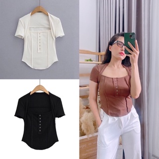 Áo thun gân cotton [ảnh thật]