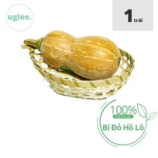 [Chỉ giao HCM] Bí đỏ hồ lô (bán theo trái) hàng sạch