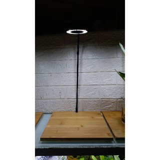 Đèn Led đế gỗ