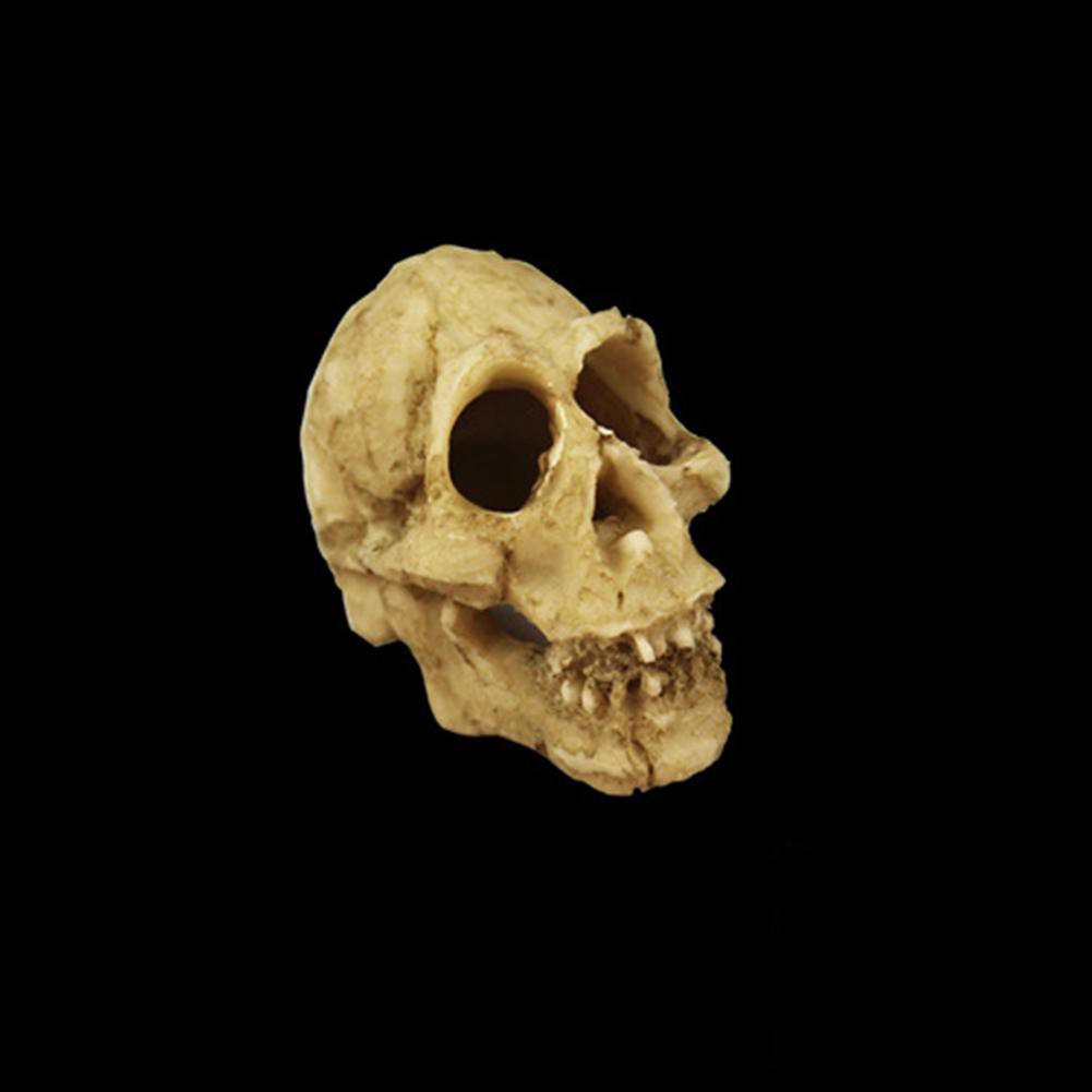 Đầu lâu trang trí hồ cá