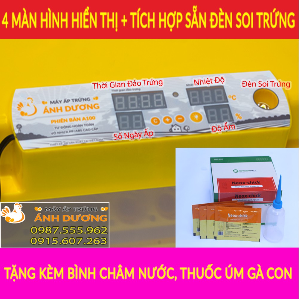 Máy ấp trứng tự động 50 trứng gà, vịt, câu, cút - khay nhôm đảo lăn - Lắp ráp sẵn + tặng kèm gói úm + bình châm nước