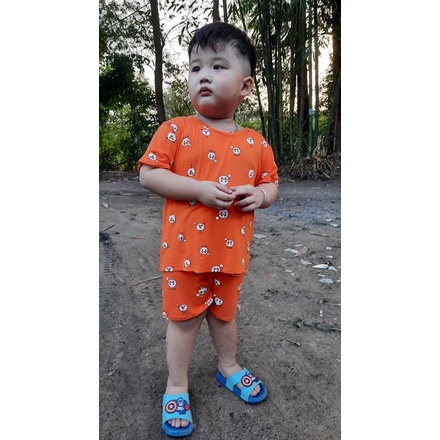 Bộ Minky Mon In Hoạ Tiết ngựa cho bé trai Và bé gái