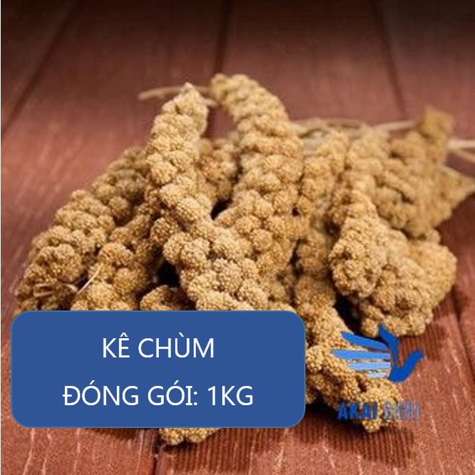 [1KG] Kê Chùm Cho Vẹt, Chuột Hamster, Sóc - Chất Lượng Cao