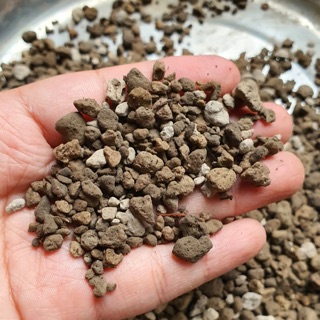 Đá bọt núi lửa pumice