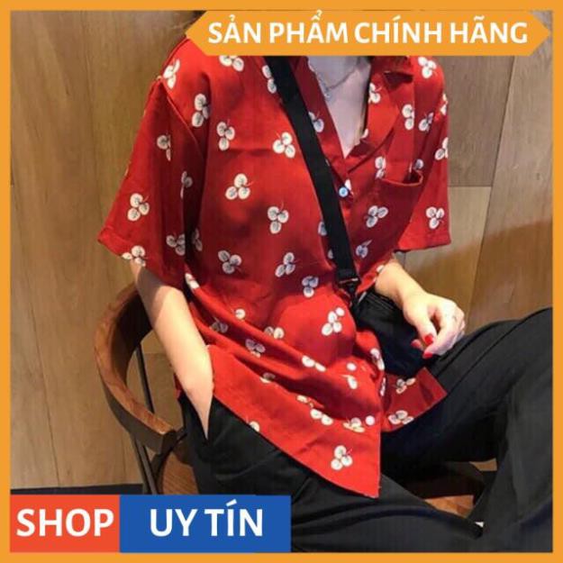 Áo sơ mi tay ngắn cổ vest in cỏ 3 lá so dễ thương, mặc ở nhà, đi chơi, hoặc đi du lịch đều được luôn ạ - VADA.vn (SM222) | BigBuy360 - bigbuy360.vn